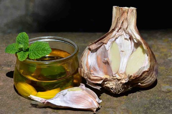 Aioli_Ersatzbild Aioli_Ersatzbild