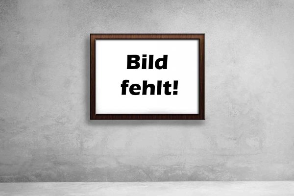 Bild_fehlt_2 Bild_fehlt_2